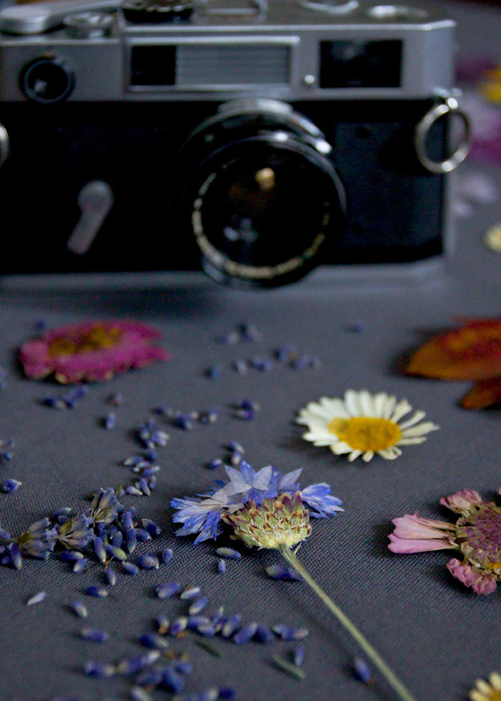 Pressed flowers with Camera