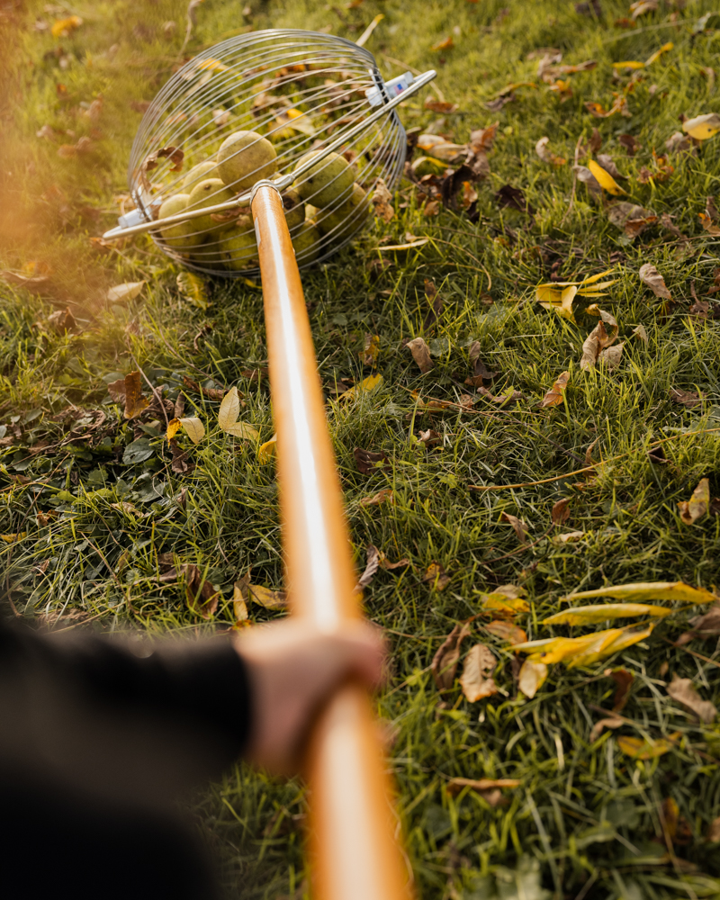 Lifestyle photo of Nut Wizard in use with walnuts inside