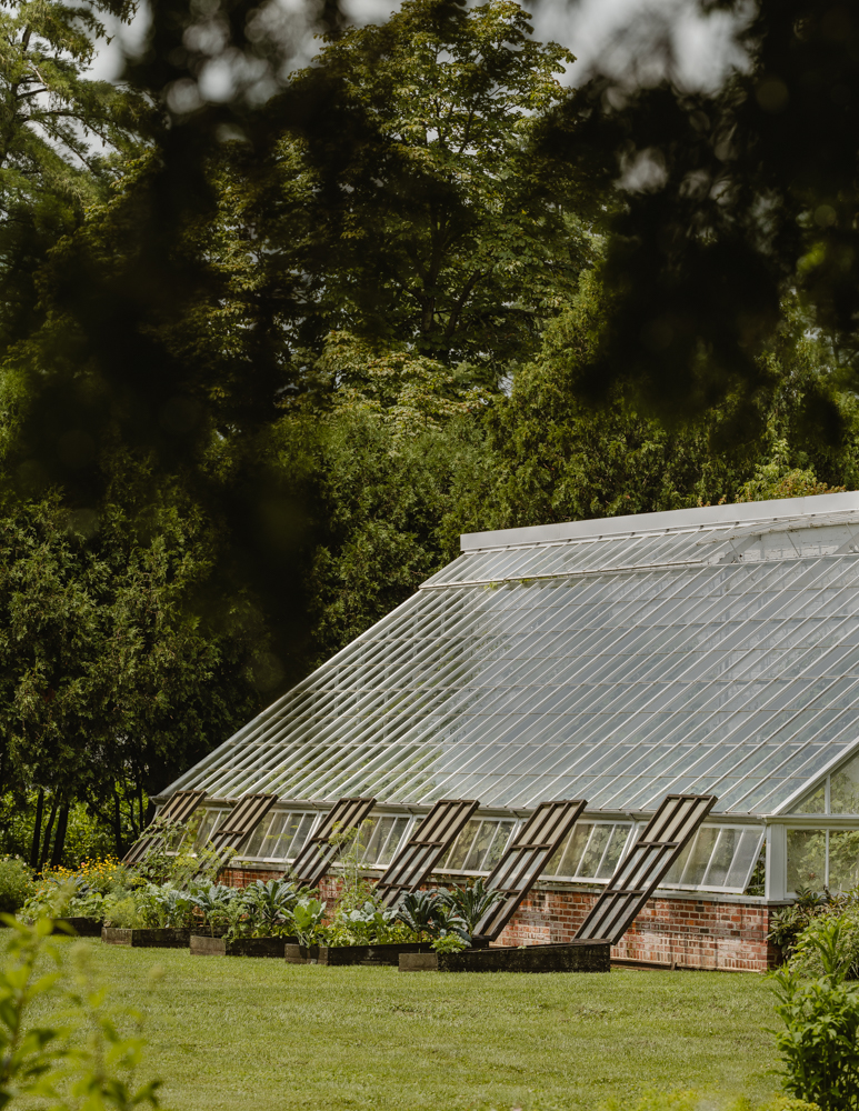 Raised bed and Greenhouse and Public Garden